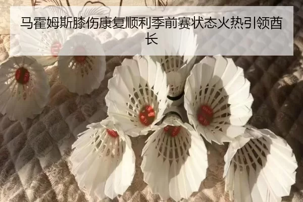ma-huo-mu-si-xi-shang-kang-fu-shun-li-ji-qian-sai-zhuang-tai-huo-re-yin-ling-qiu-zhang-3-107.jpg