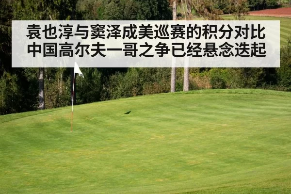 袁也淳与窦泽成美巡赛的积分对比 中国高尔夫一哥之争已经悬念迭起